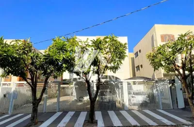 Apartamento com 3 quartos à venda na Vila Santa Cândida, São José do Rio Preto 