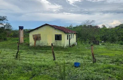 Fazenda à venda na Avenida Afonso Pena, Zona Rural, Niquelândia