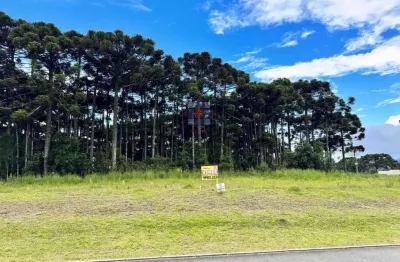 Terreno em condomínio fechado à venda na Rua Osmário de Oliveira Bastos, 1353, Vila Fuck, Piraquara