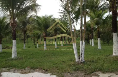 Área à venda em itaboraí, granjas mirassol (pachecos), 10150m²