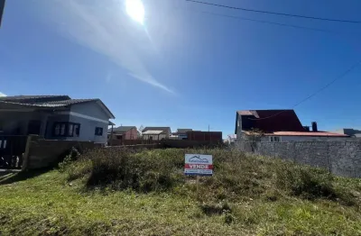 Terreno à venda, 300 m² por r$ 95.000,00 - golfinho - balneário arroio do silva/sc