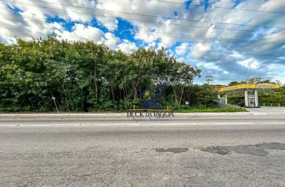 Terreno à venda, 7300 m² por r$ 8.000.000 - porto do carro - cabo frio/rj