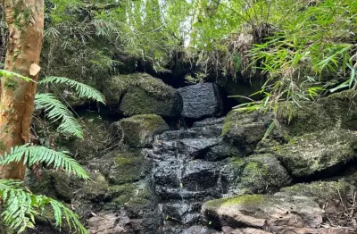 Chácara / sítio à venda na rua são josé, zona rural, cambará do sul, 35000 m2 por r$ 200.000