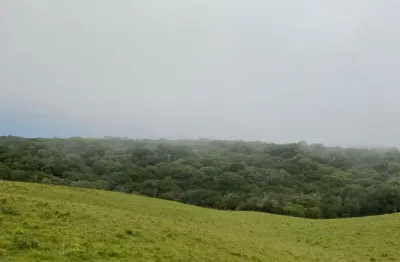 Chácara / sítio à venda na Rua São José, Zona Rural, Cambará do Sul