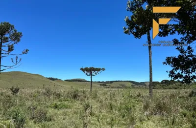 Chácara / sítio à venda na Avenida Getúlio Vargas, 460, Zona Rural, Cambará do Sul