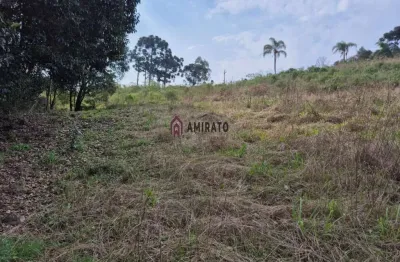 Oportunidade: área de terra em nova sardenha, farroupilha