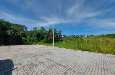 Terreno à venda em farroupilha, monte verde - oportunidade única!