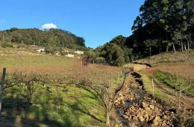 Excelente área de terra à venda em linha jansen – farroupilha!