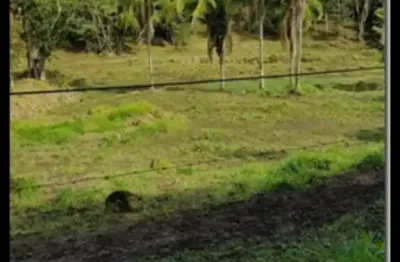Terreno à venda na Rua Evaldino Venâncio Cunha, São Judas Tadeu, Balneário Camboriú