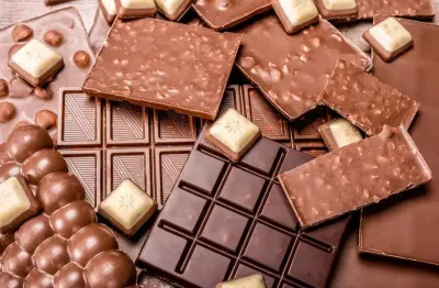 Fantástica fábrica de chocolate à venda! exportação internacional! oportunidade!