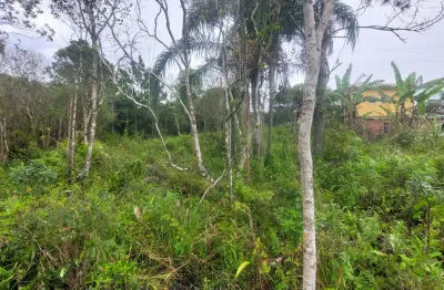 Terreno à venda na Avenida Flacides Ferreira, 796, Balneário Gaivota, Itanhaém
