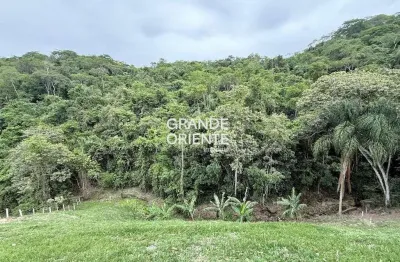 Oportunidade em pinheiral/arrozal: sua chácara para lazer ou morar