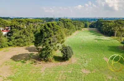Terreno à venda na br-277, 1115, roseira de são sebastião, são josé dos pinhais por r$ 9.600.000