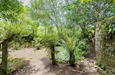 Chácara / sítio com 4 quartos à venda na maria de lima almeida, 10, santo antônio, são josé dos pinhais por r$ 700.000