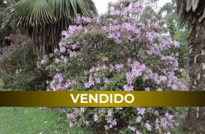 Chácara / sítio com 3 quartos à venda na br-277, 1, borda do campo, são josé dos pinhais por r$ 175.000
