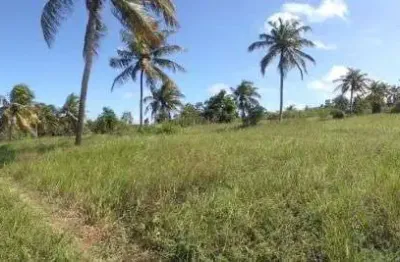 Fazenda à venda, 1170000 m² por r$ 1.250.000,00 - praia de muriu - ceará-mirim/rn