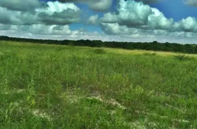 Sítio à venda, 300000 m² por r$ 1.500.000,00 - ceará-mirim - ceará-mirim/rn