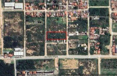 Terreno à venda, 4000 m² por r$ 800.000,00 - parque das árvores - parnamirim/rn