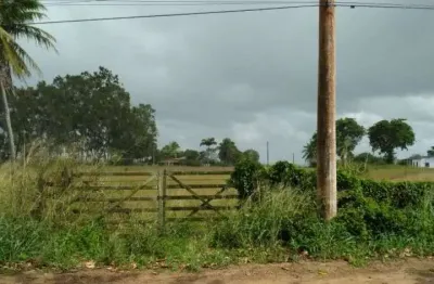Fazenda à venda, 345000 m² por r$ 1.200.000,00 - centro - monte alegre/rn