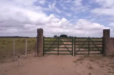 Fazenda à venda, 52 hectares por r$ 2.500.000 - reta tabajara - macaíba/rn