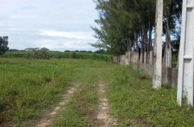 Terreno à venda, 6000 m² por r$ 280.000,00 - lagoa do bonfim - nísia floresta/rn