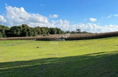 Terreno em condomínio fechado à venda no Lageado, Campo Alegre 