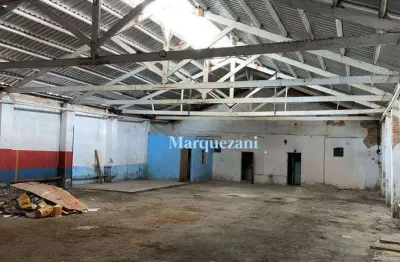 Galpão para alugar, 780 m² por r$ 16.981,00/mês - cambuci - são paulo/sp