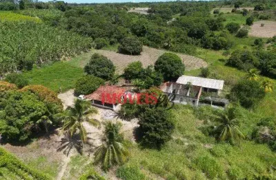 Chácara no conde com 4.35 hectares, com sistema de irrigação