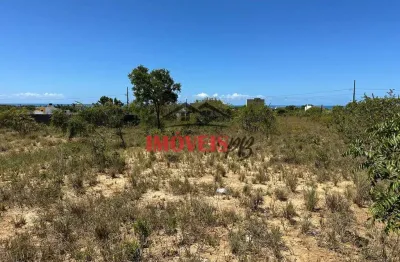 Terrenos na praia de carapibus, planos, cercados e com vista mar.