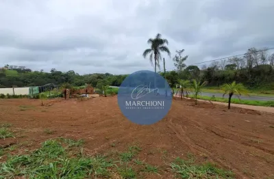 Terreno comercial à venda na Rua Antonio Manuel De Lima, 2016, Zona Rural, Pinhalzinho