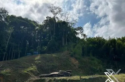 Terreno à venda, 4686 m² por R$ 600.000,00 - Velha - Blumenau/SC