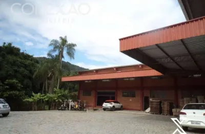 Galpão à venda, 6689 m² por R$ 7.300.000,00 - Velha Central - Blumenau/SC