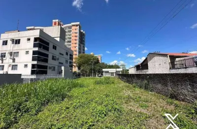 Terreno à venda, 5559 m² por R$ 4.200.000,00 - Asilo - Blumenau/SC