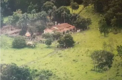 Chácara / sítio com 4 quartos à venda na rua jaraguá, 4, vila nova jayara, anápolis, 150000 m2 por r$ 1.100.000