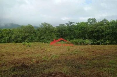 Terreno à venda, 25000 m² por r$ 850.000,00 - centro (pirabeiraba) - joinville/sc