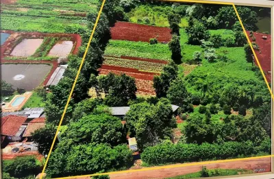 Chácara / sítio à venda na Área Rural, Área Rural de Londrina, Londrina