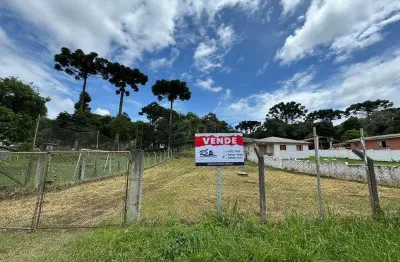 Terreno à venda na Avenida Das Pedreiras, Borda do Campo, Quatro Barras