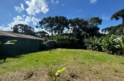 Terreno à venda na Avenida Das Pedreiras, 850, Borda do Campo, Quatro Barras