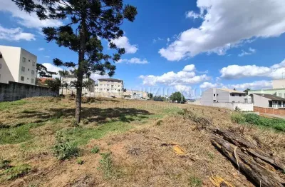 Terreno zr2 em localização privilegiada em pinhais! analisa permuta!