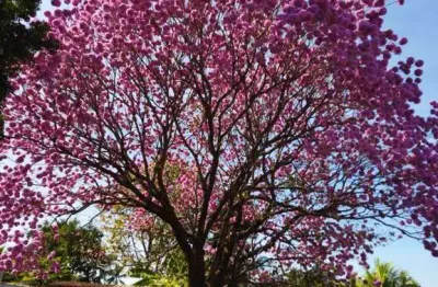 Terreno em condomínio à venda em salto-sp, terras de santa rosa ii, 1.002m²! venha conferir!