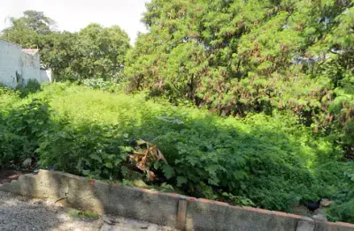 Terreno amplo no jardim simus! 317m² para construir o seu projeto dos sonhos.