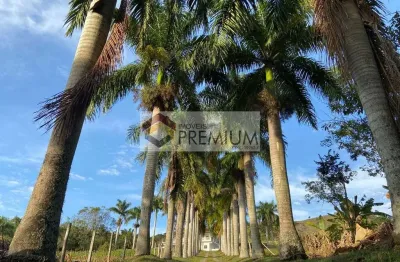 Chácara / sítio com 7 quartos à venda no Bairro do Espírito Santo, Paraibuna 