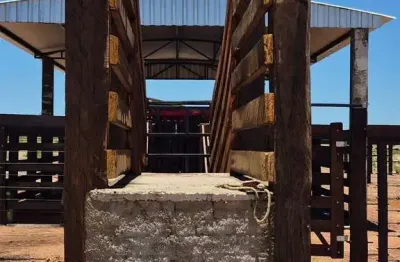 Fazenda no Tocantins estruturada para agricultura e pecuária.