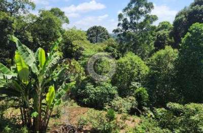 Chácara / sítio com 2 quartos à venda na Estrada do Morita, 248, Sorocamirim (Canguera), São Roque