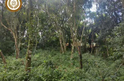 Casa à venda no Campininha (Canguera), São Roque 