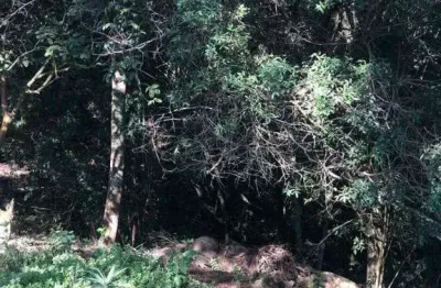 Casa à venda na Estrada da Serrinha, Vila Santo Antônio, São Roque