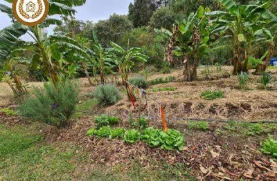 Casa para venda em são roque, planalto verde, 1 dormitório, 1 suíte, 1 banheiro, 10 vagas
