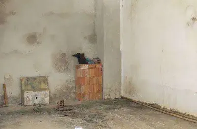 Casa para venda em são roque, mailasqui, 2 dormitórios, 1 banheiro, 2 vagas