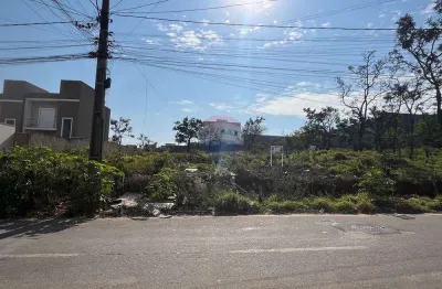 Terrenos em excelente localização! a 250m da rod edgard máximo zambotto