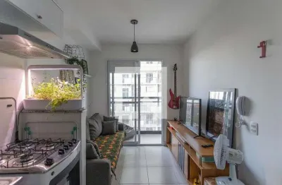 Kitnet / stúdio para aluguel - água branca, 1 quarto,  28 m² - são paulo